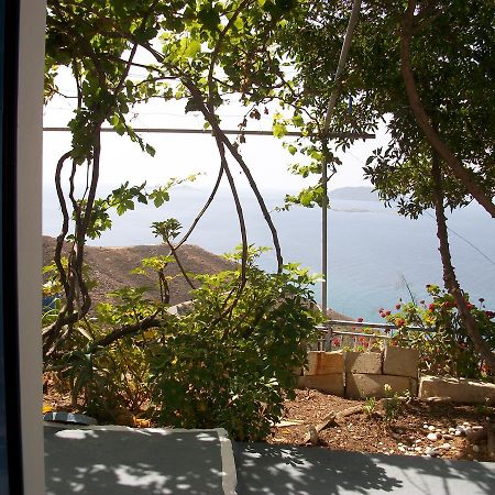 אנאפי Floras Rooms And Studios מראה חיצוני תמונה